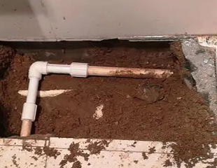 南皮测漏水哪家好