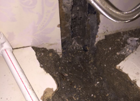 南皮卫生间测漏水哪家好