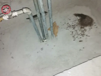 南皮卫生间测漏水价格明细